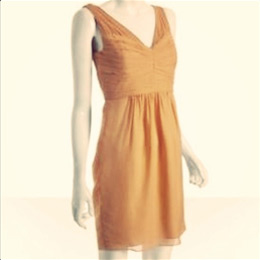 Sherbet Silk Shoshanna dress